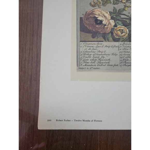 Rob Furber Gardiner Kensington 1730 Engraving by H Fletcher "May" Month Flowers - Picture 2 of 5